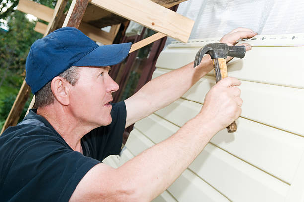 Best Steel Siding Installation  in Weatherby Lake, MO